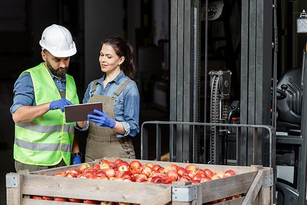 two farm workers looking at data in front of tomatoes